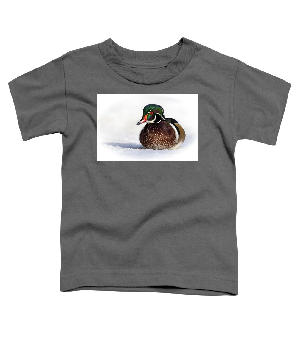 Duck Toddler T-Shirt featuring the photograph Wood Duck in Snow by Bill Cubitt