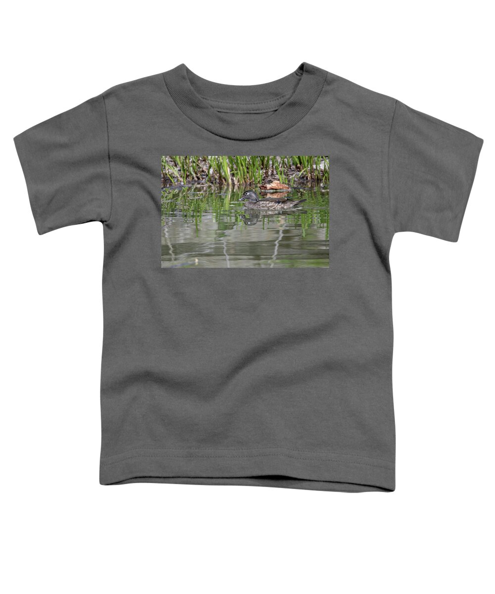 Wood Ducks Toddler T-Shirt featuring the photograph Wood Ducks - 11 by David Bearden