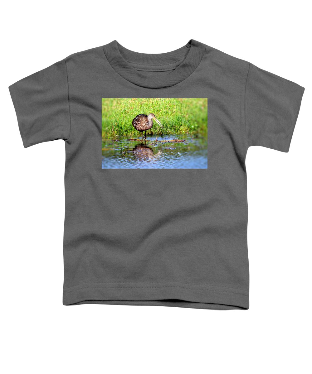 Wood Stork Toddler T-Shirt featuring the photograph Wood Stork Searching For Food by Philip And Robbie Bracco