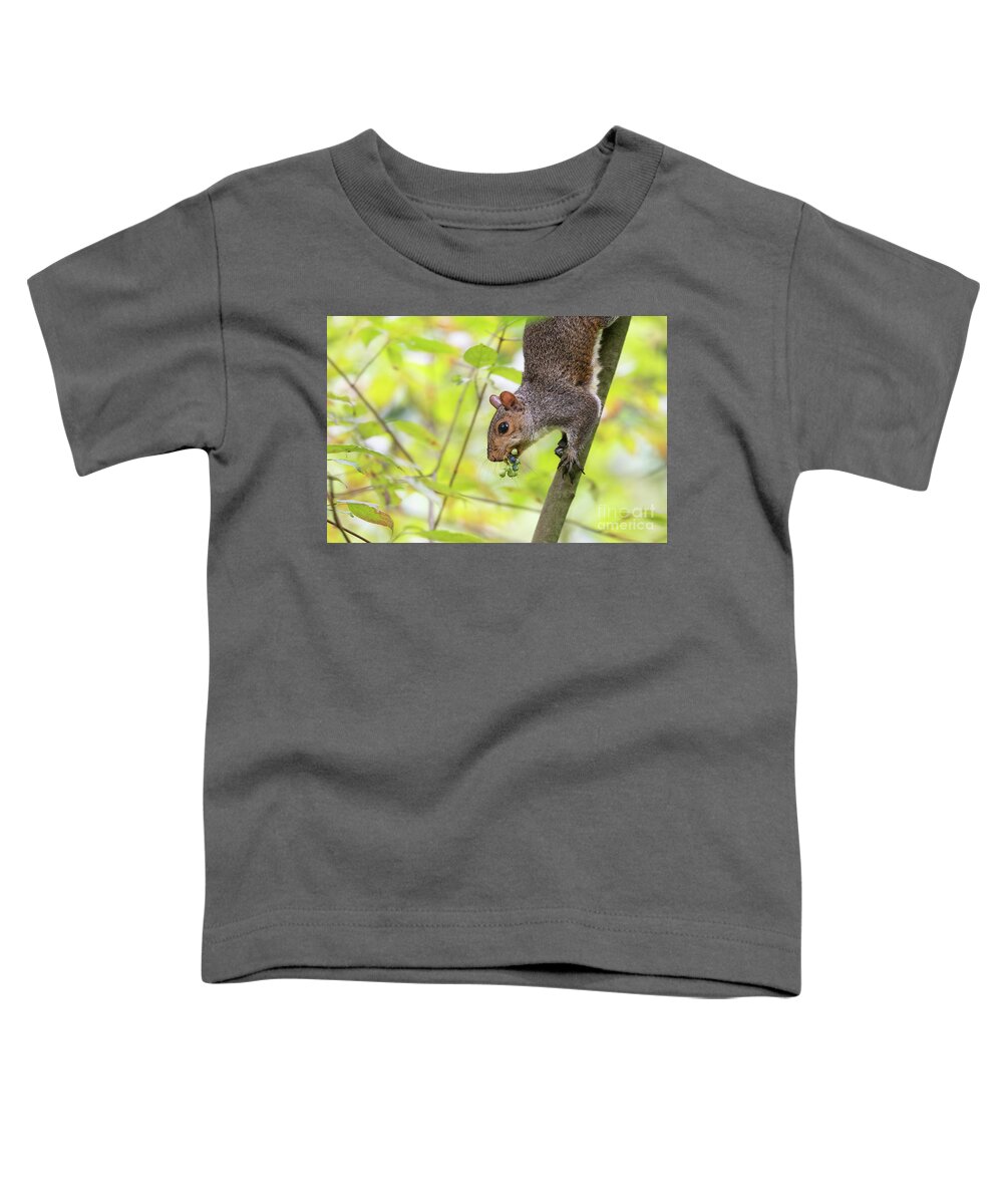 Backyard Toddler T-Shirt featuring the photograph Woodland Creatures - Eastern Grey Squirrel by Rehna George