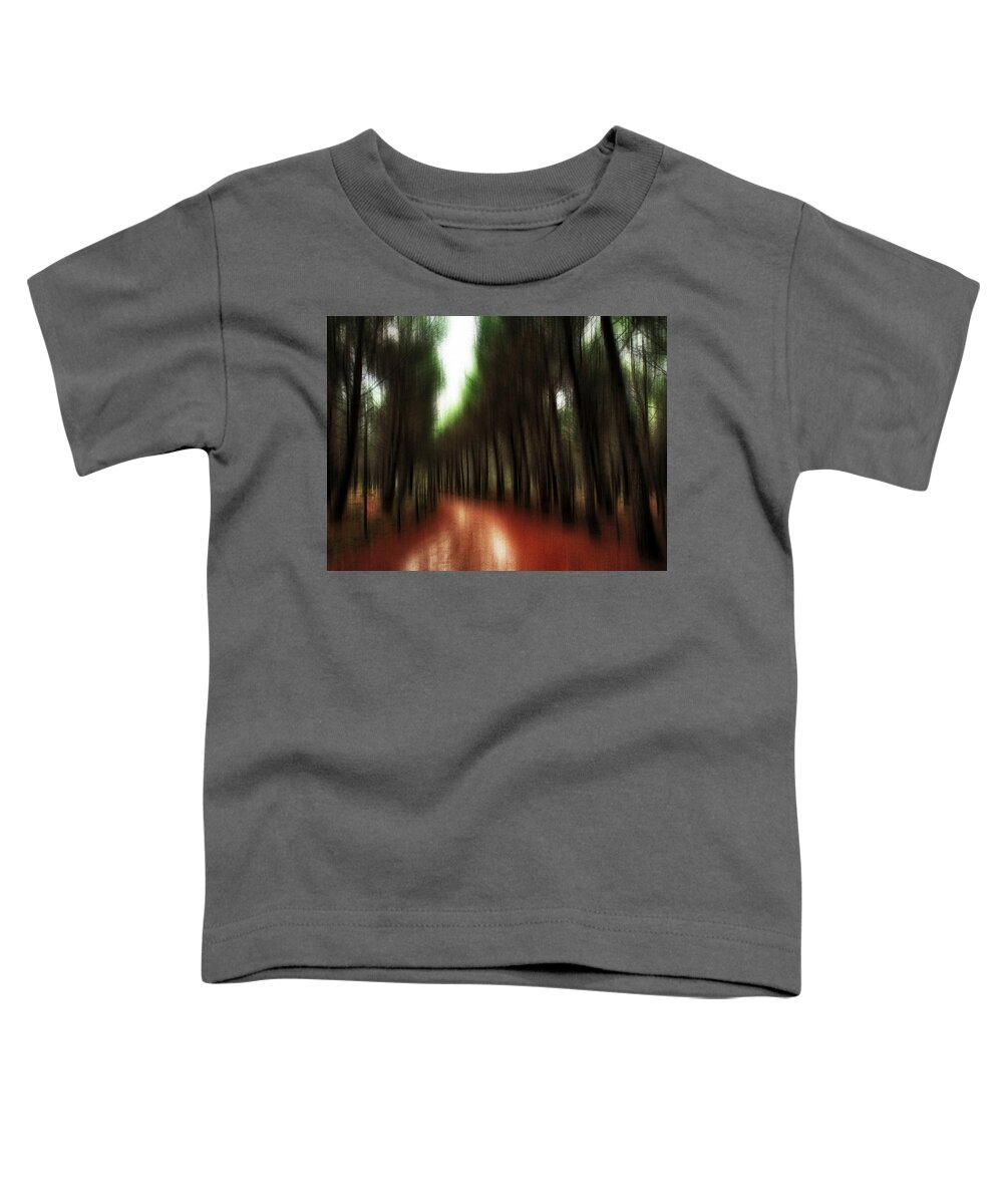 Woodland Toddler T-Shirt featuring the photograph Autumn path 2 by Al Fio Bonina