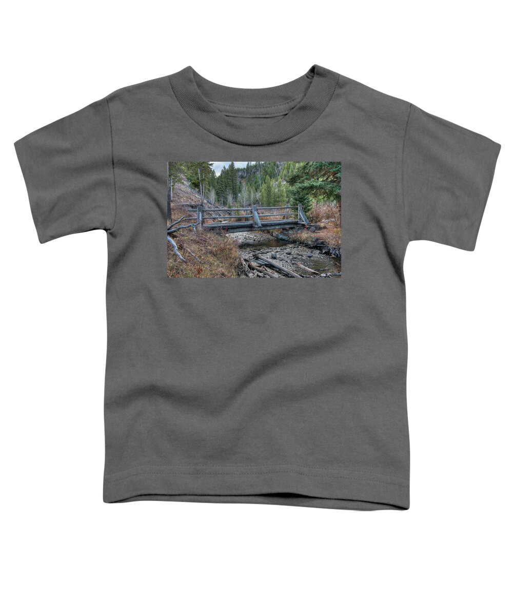 Nature Toddler T-Shirt featuring the photograph Wraith Falls Bridge by Paul Freidlund