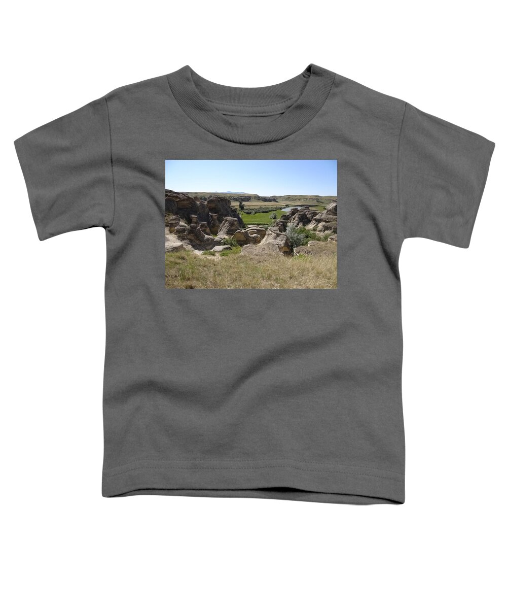 Writing On Stone Toddler T-Shirt featuring the photograph Writing on Stone 4 by Lisa Mutch