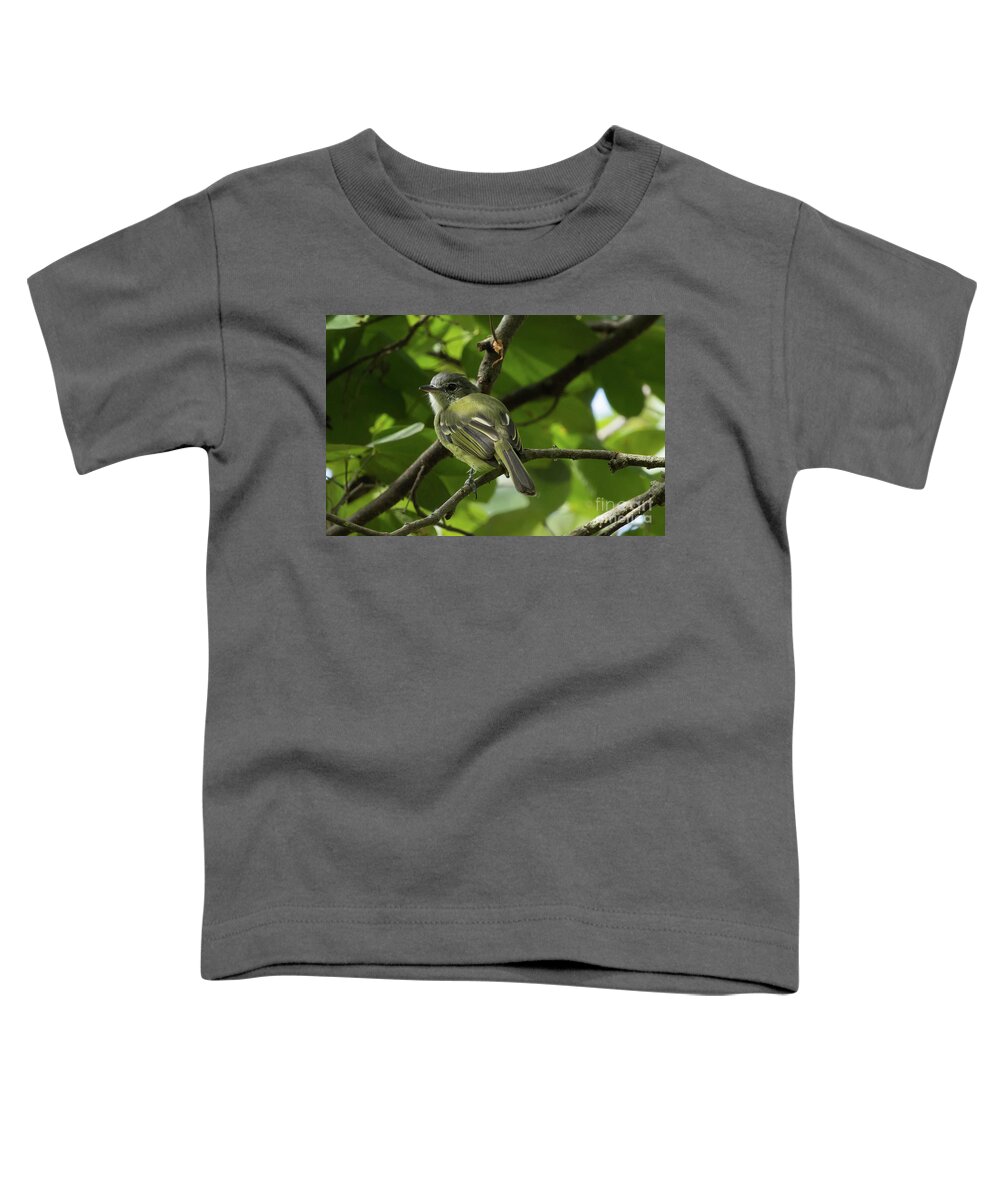 Yellow-olive Flatbill Toddler T-Shirt featuring the photograph Yellow-Olive Flycatcher by Eva Lechner