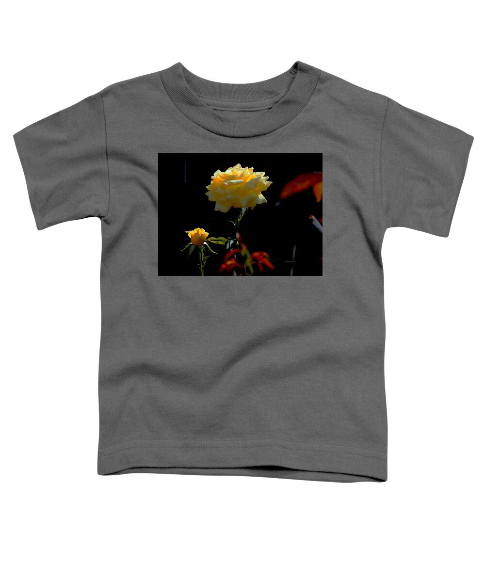 Botanical Toddler T-Shirt featuring the photograph Yellow Rose Summer Back Light by Richard Thomas