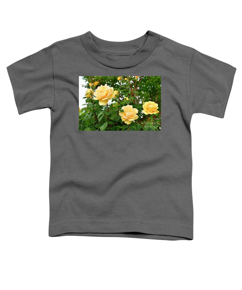 Roses Toddler T-Shirt featuring the photograph Yellow Roses in the Garden by Amazing Action Photo Video