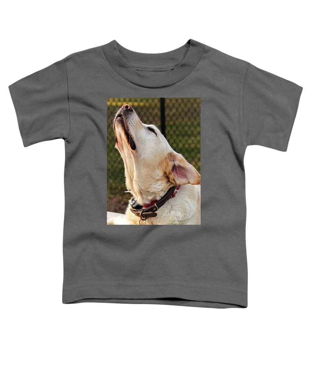 Dog Toddler T-Shirt featuring the photograph Yellow1 by John Linnemeyer