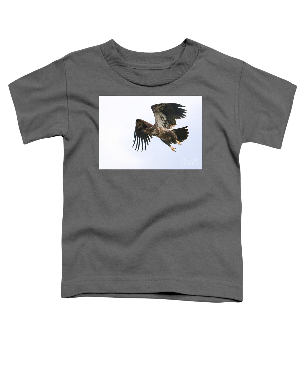 Bald Eagle Toddler T-Shirt featuring the photograph Young Bald Eagle Takes Flight by Carol Groenen