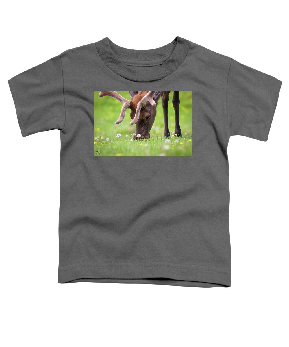 Velvet Toddler T-Shirt featuring the photograph Young bull elk by Tami Boelter
