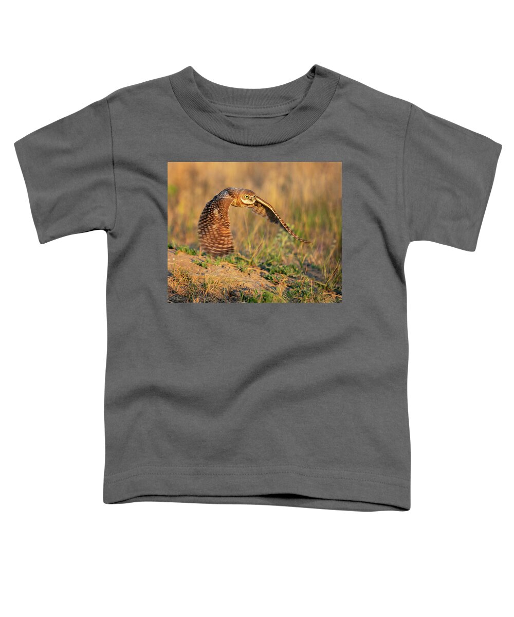 Burrowing Owls Toddler T-Shirt featuring the photograph Young Burrowing Owl at Sunrise by Judi Dressler
