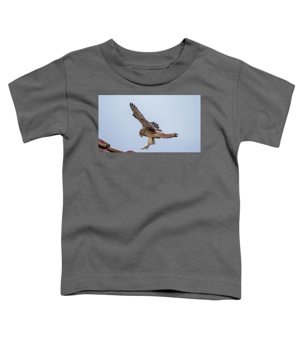 Kestrel Toddler T-Shirt featuring the photograph Young European Kestrel Landing by Torbjorn Swenelius
