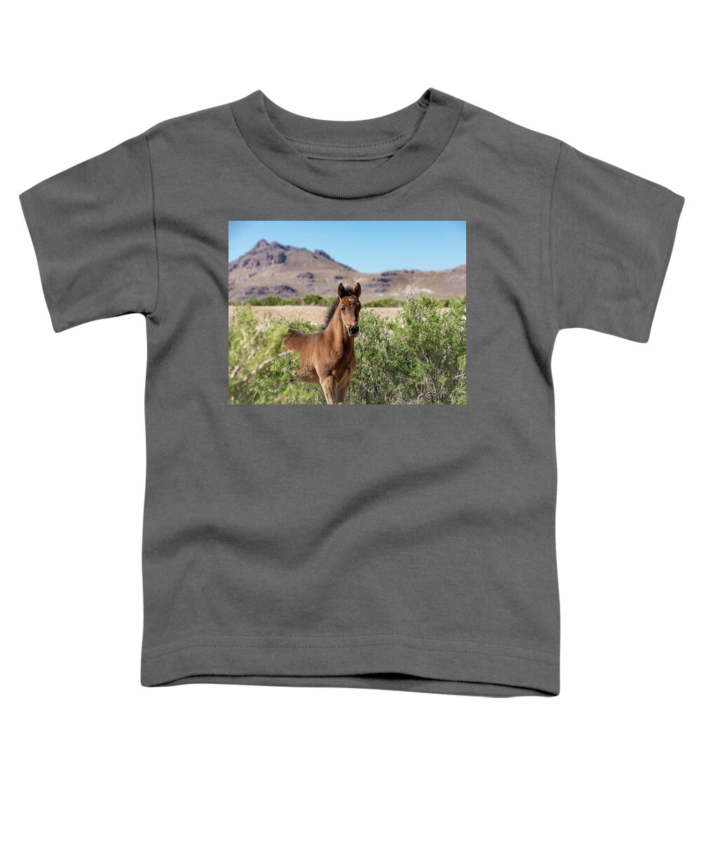Wild Horses Toddler T-Shirt featuring the photograph Young Bay Trust by Dirk Johnson