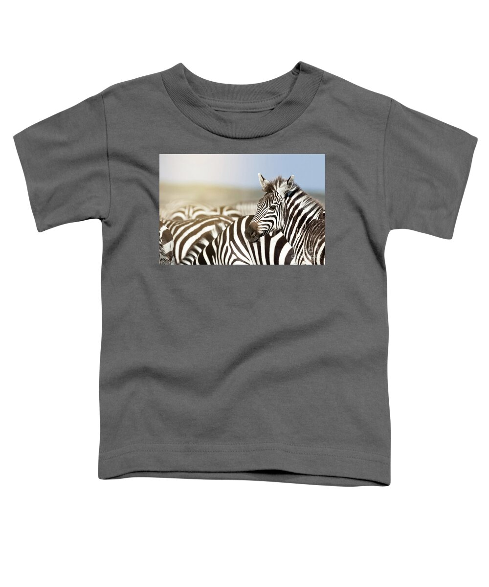 Masai Toddler T-Shirt featuring the photograph Zebra herd in sunlight in the Masai Mara, Kenya by Jane Rix