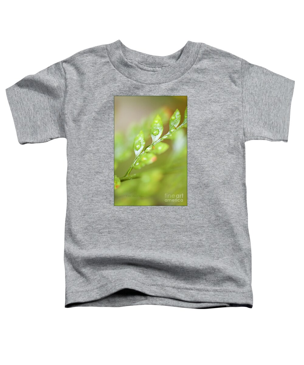 Close-up Toddler T-Shirt featuring the photograph Fern Fronds by Richard J Thompson 