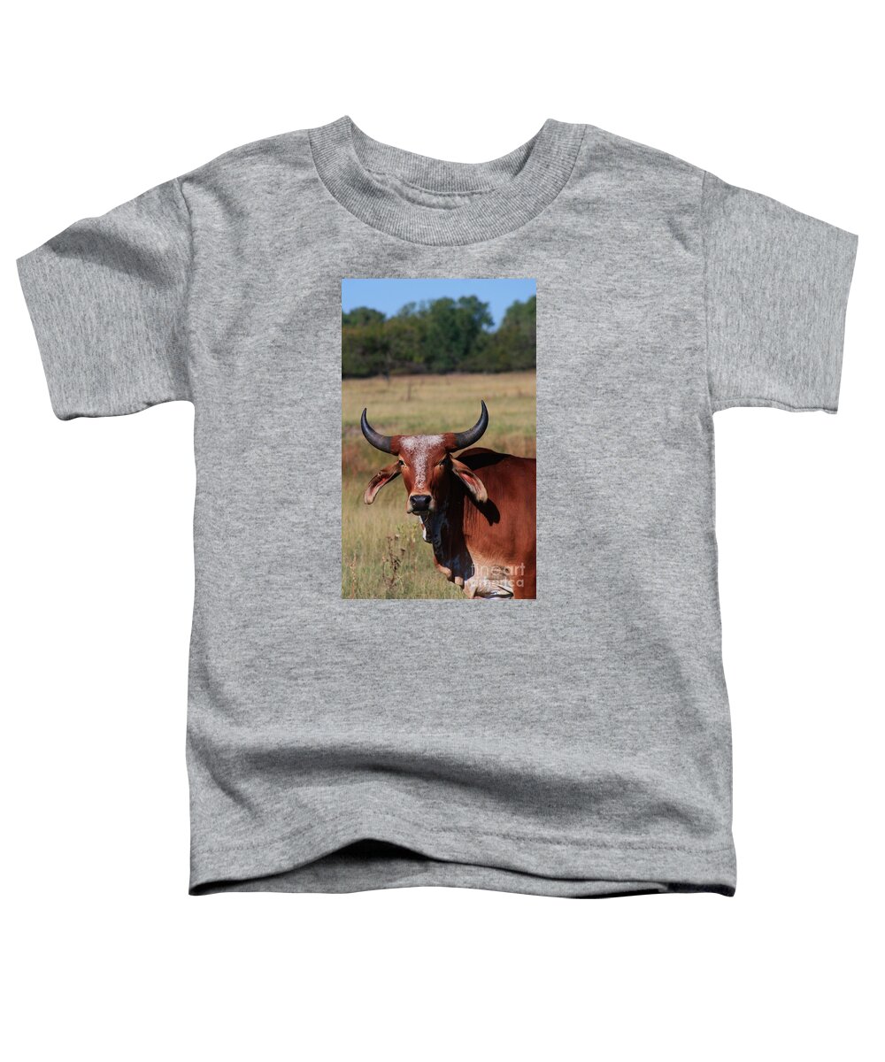 Bull Toddler T-Shirt featuring the photograph Red Brahma Bull in a pasture by Robert D Brozek