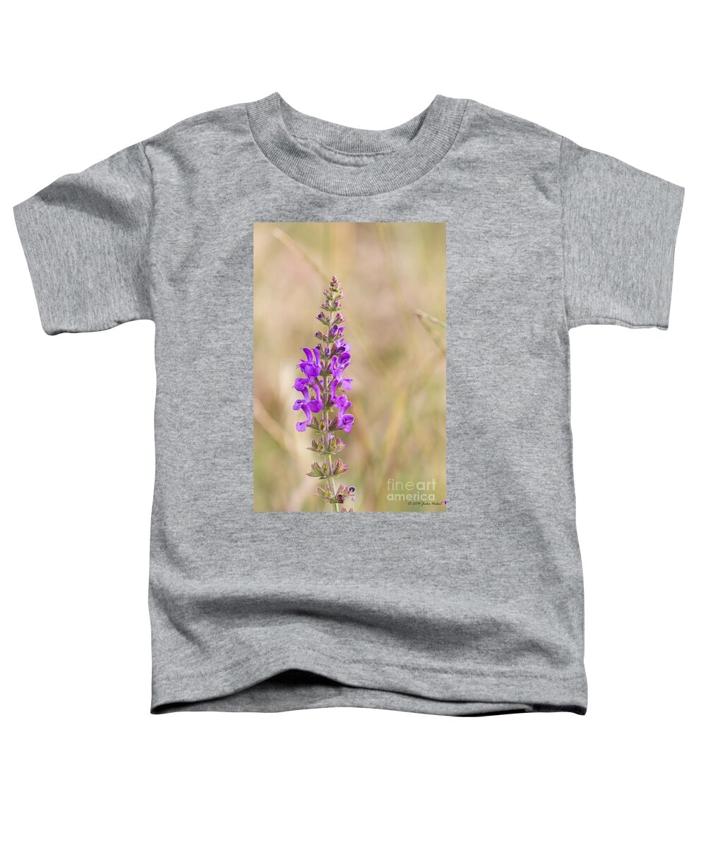 Bulgaria Toddler T-Shirt featuring the photograph 01 Meadow clary wild flower by Jivko Nakev