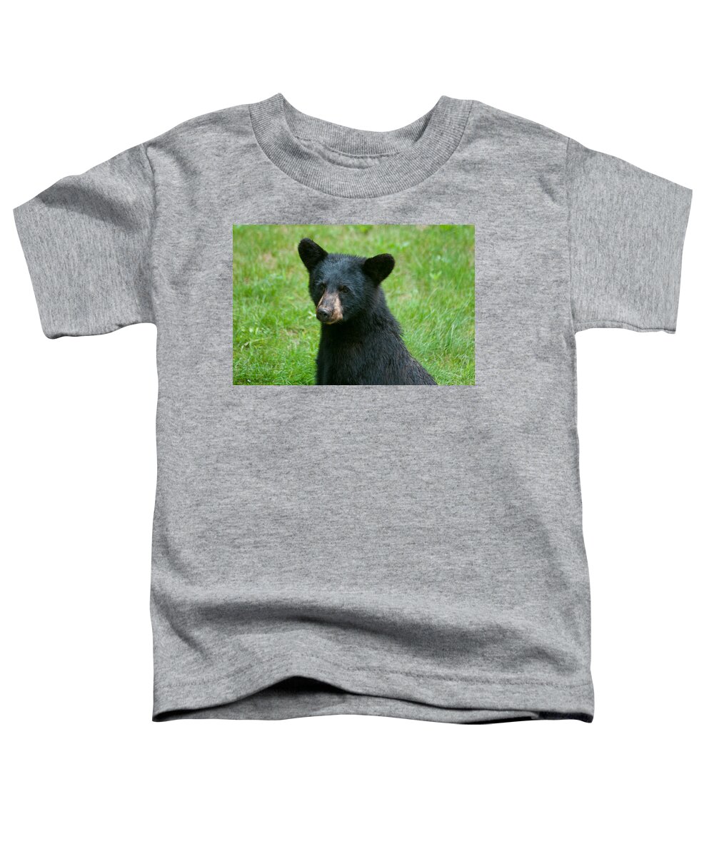Black Bears Toddler T-Shirt featuring the photograph Black Bear Cub #1 by Brenda Jacobs