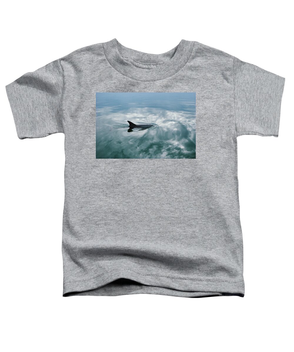 Feb0514 Toddler T-Shirt featuring the photograph Bottlenose Dolphin Surfacing Shark Bay #1 by Flip Nicklin