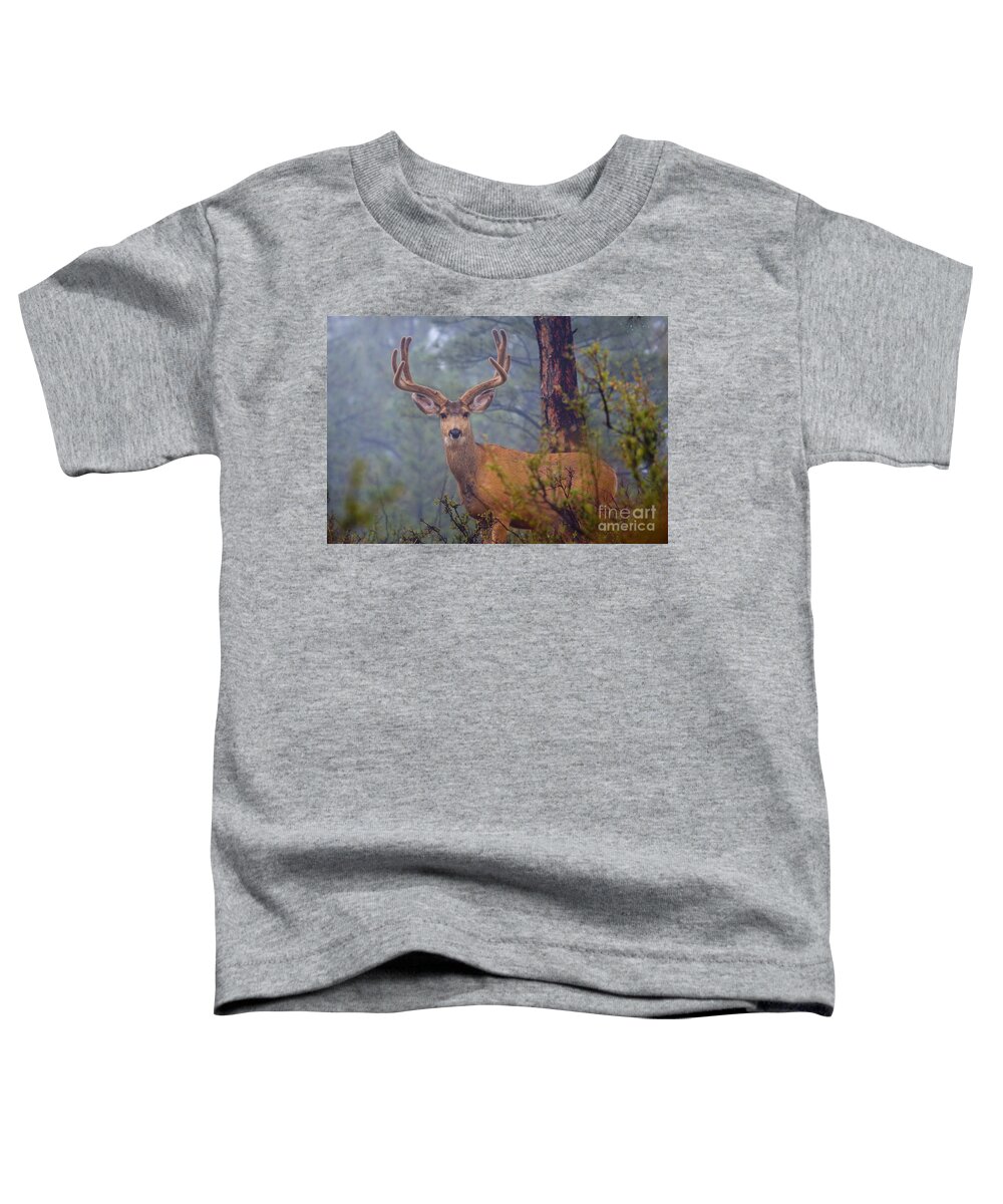 Colorado Toddler T-Shirt featuring the photograph Buck Deer in a mystical foggy forest scene #1 by Steven Krull