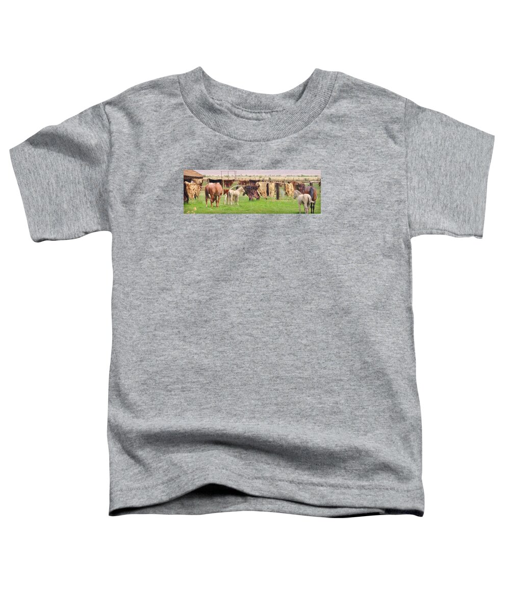 Hides Toddler T-Shirt featuring the photograph Cow Hides by Marilyn Diaz