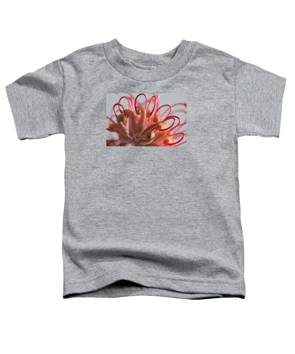 Grevillea Toddler T-Shirt featuring the photograph Curves #2 by Shirley Mitchell