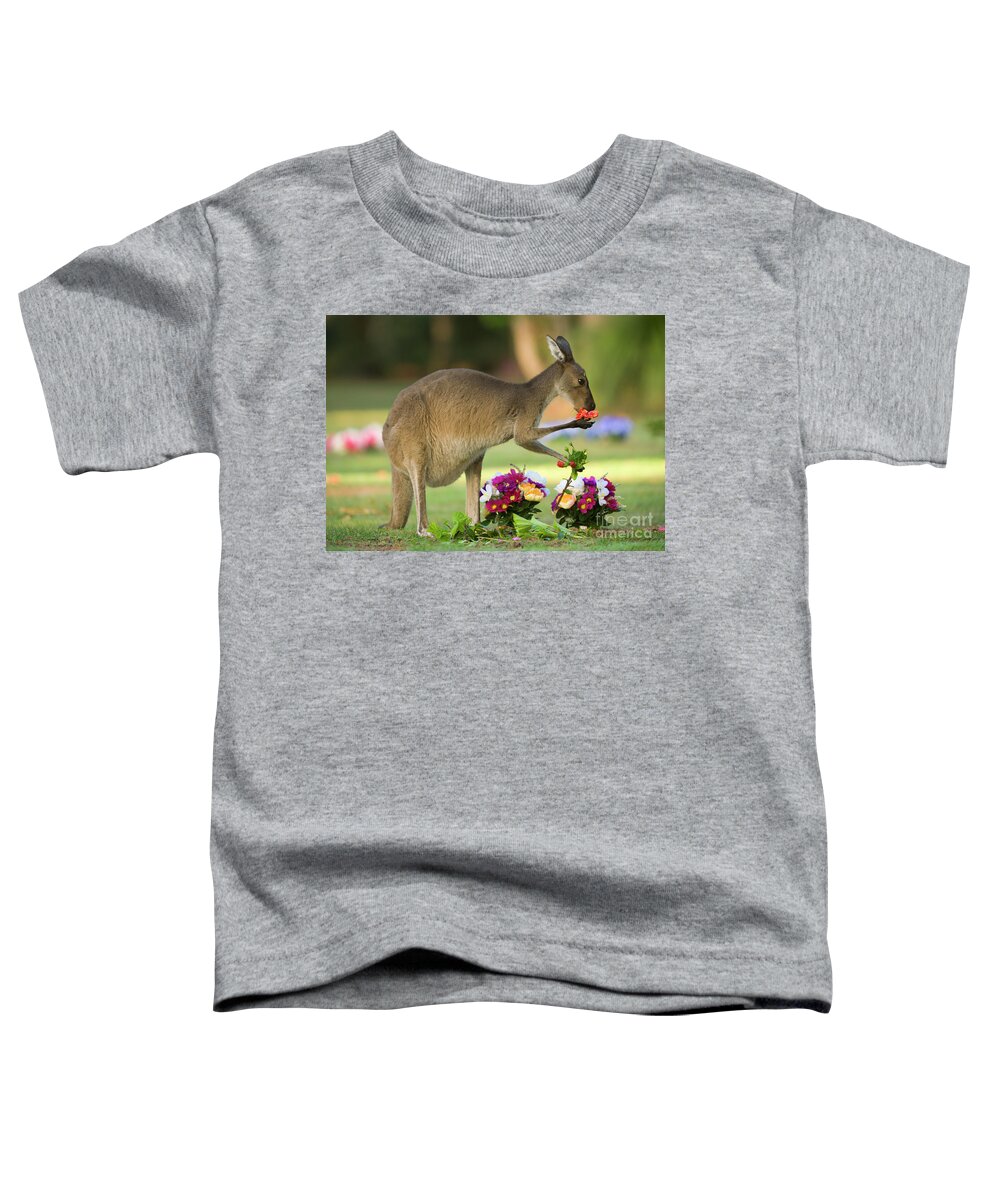 00451878 Toddler T-Shirt featuring the photograph Grey Kangaroo in Graveyard by Yva Momatiuk John Eastcott