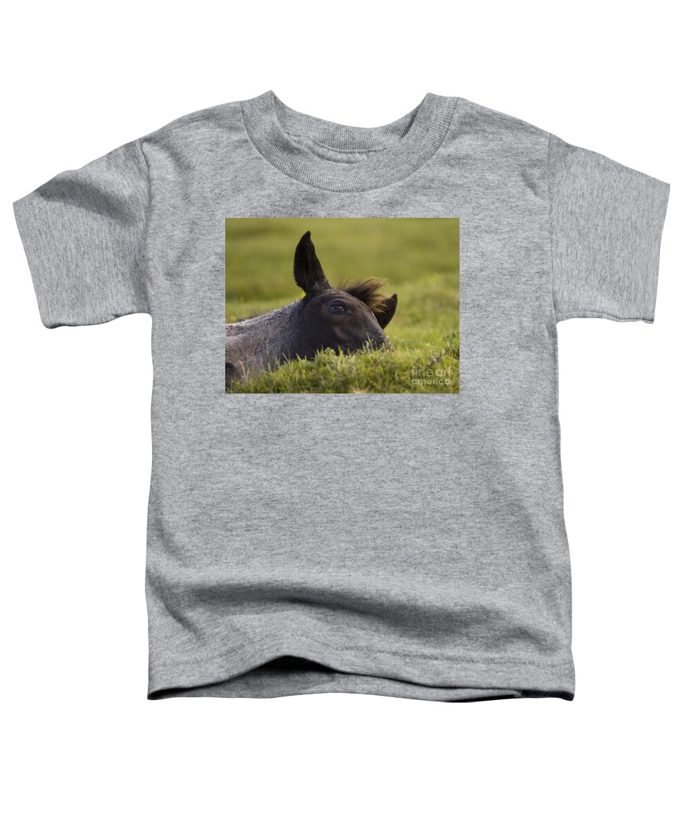 Pony Toddler T-Shirt featuring the photograph Having A Nap #1 by Ang El
