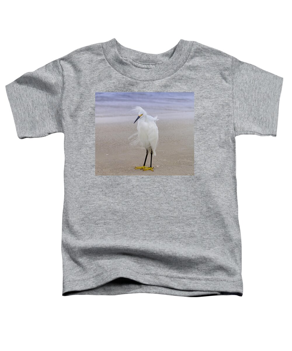 Egret Toddler T-Shirt featuring the photograph Snowy Egret at the Beach by Kim Hojnacki