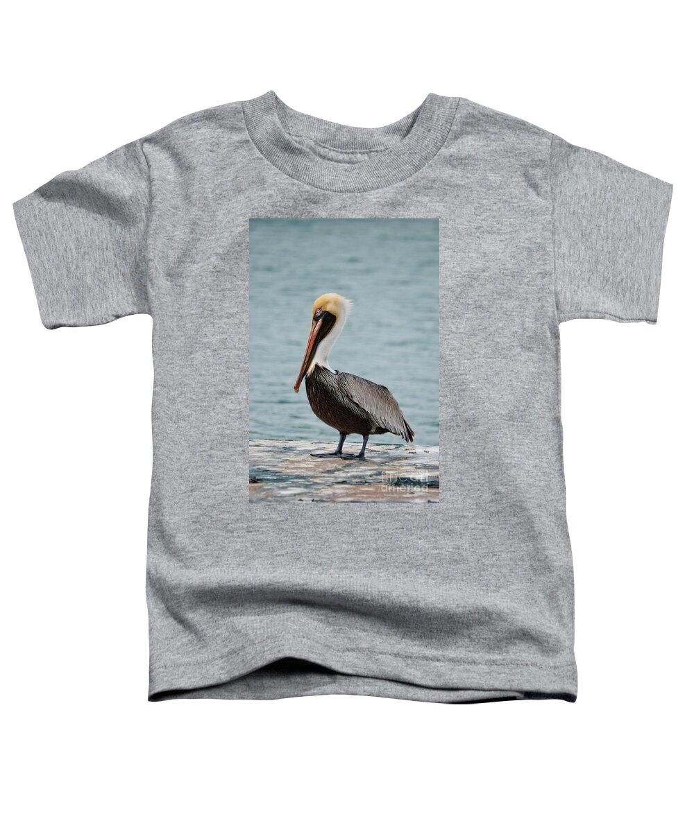 Usa Toddler T-Shirt featuring the photograph The Pelican #2 by Hannes Cmarits