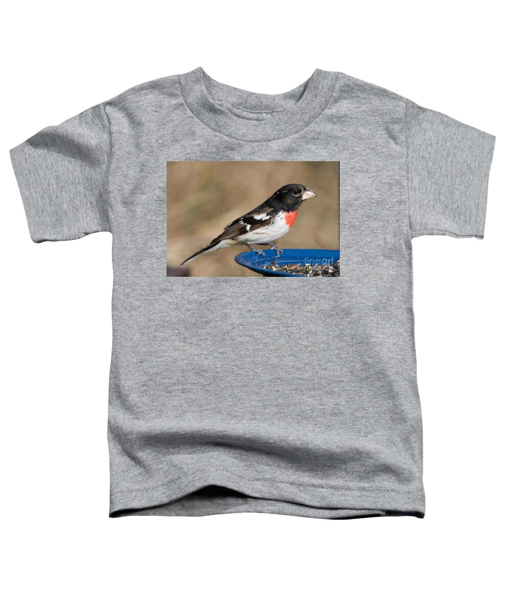 Rose-breasted Grosbeak Toddler T-Shirt featuring the photograph Male Rose-breasted Grosbeak #11 by Linda Freshwaters Arndt