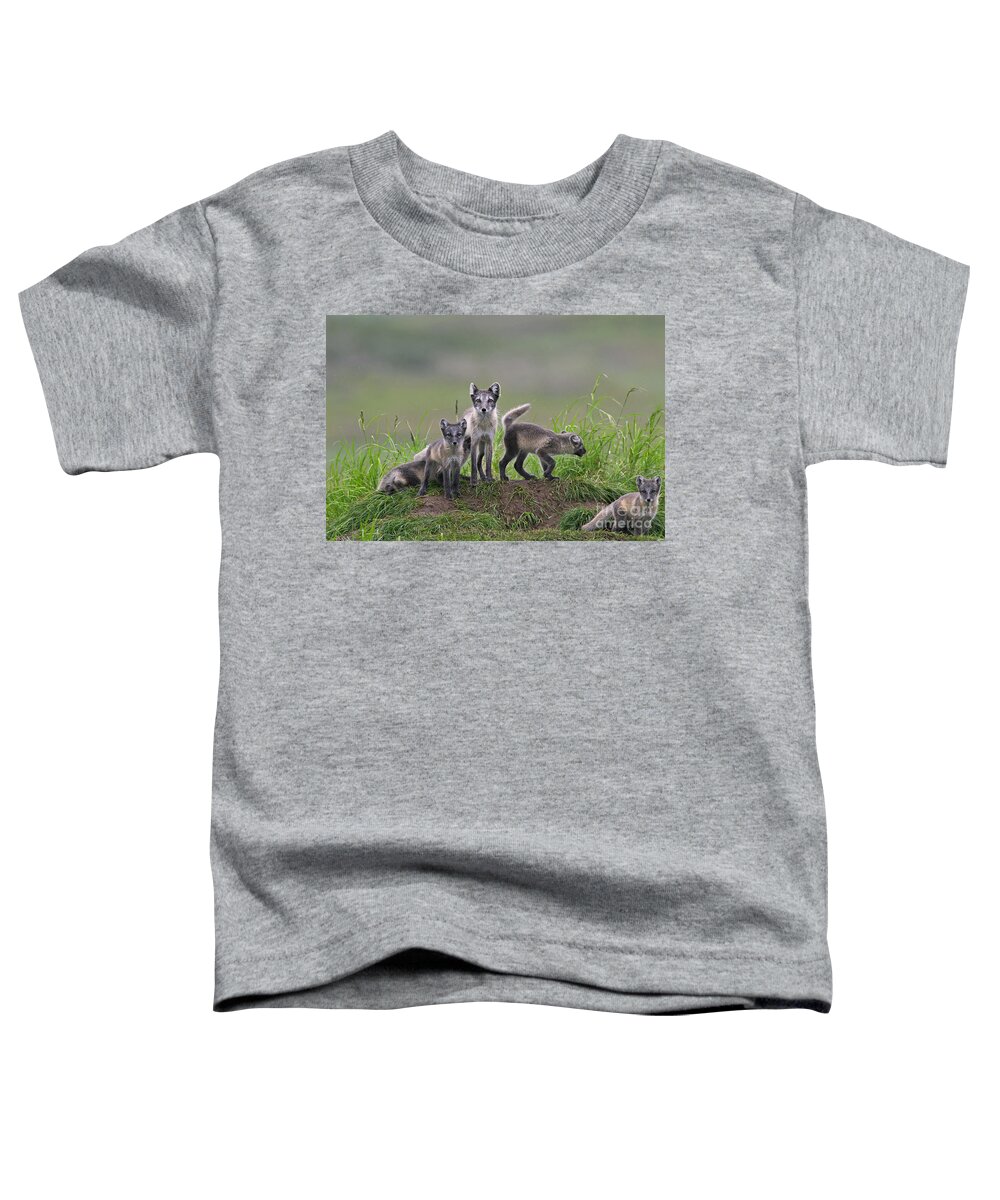 Arctic Fox Toddler T-Shirt featuring the photograph 111130p062 by Arterra Picture Library