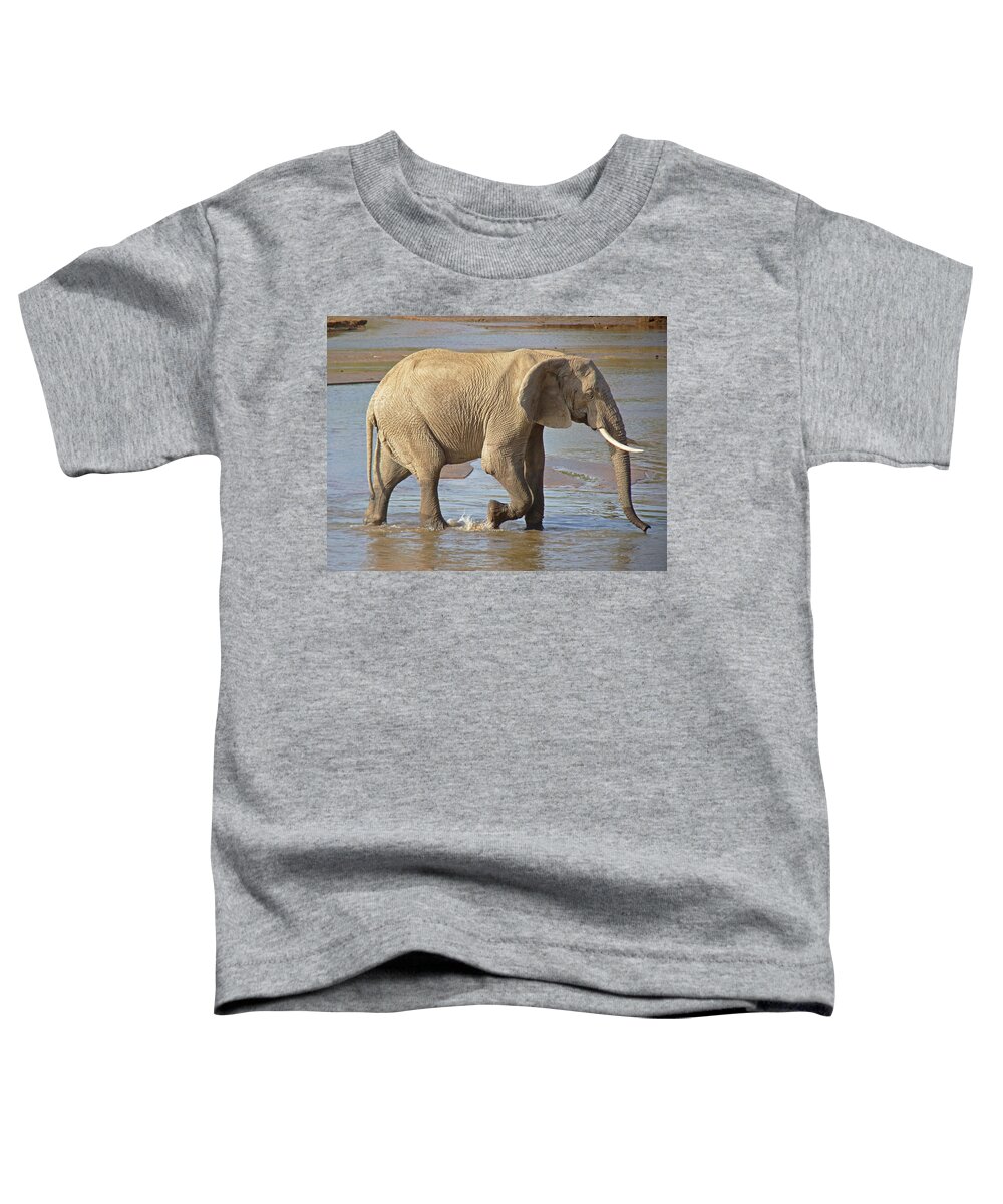 Elephant Toddler T-Shirt featuring the photograph African elephant #2 by Tony Murtagh