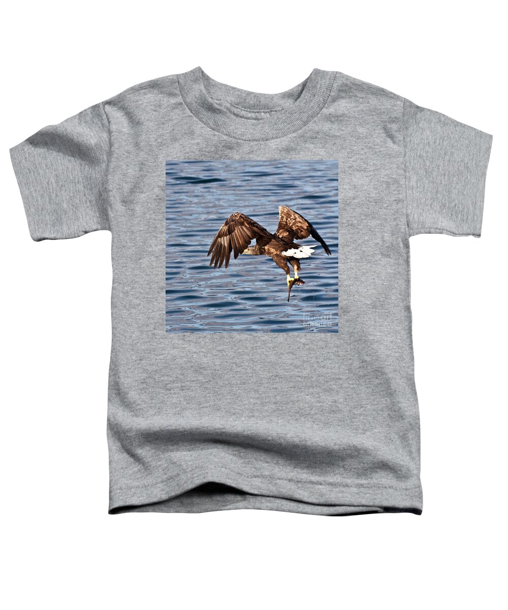 White_tailed Eagle Toddler T-Shirt featuring the photograph European Fishing Sea Eagle 4 by Heiko Koehrer-Wagner