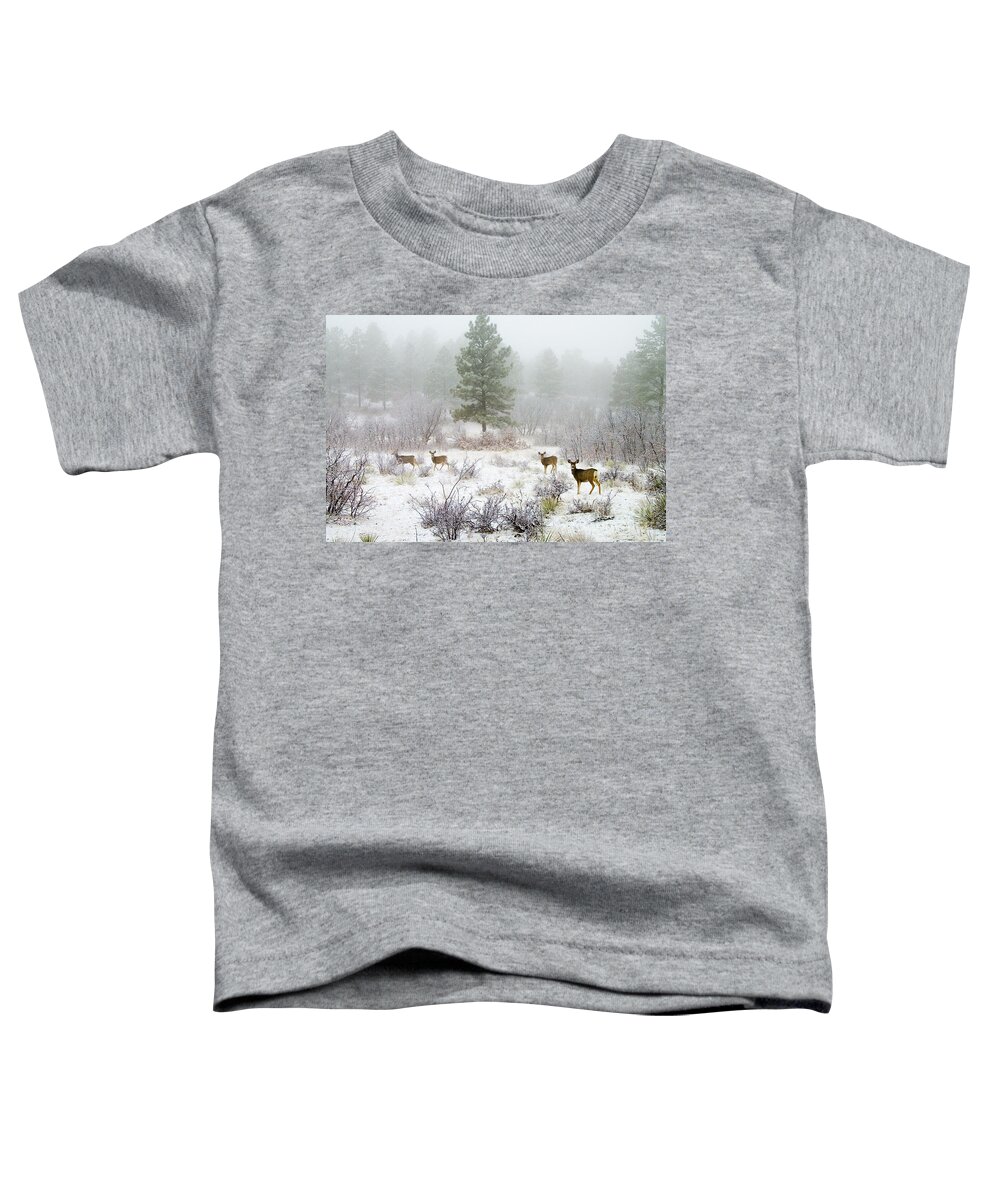 Animal Toddler T-Shirt featuring the photograph Mule Deer in Heavy Snow #2 by Steven Krull
