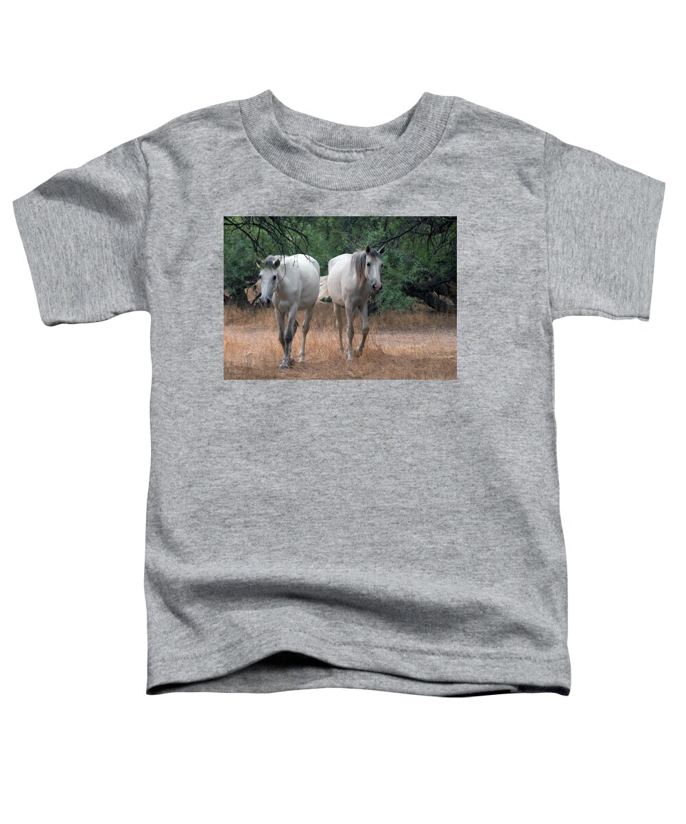 Salt River Wild Horses Toddler T-Shirt featuring the photograph Salt River Wild Horse #2 by Tam Ryan