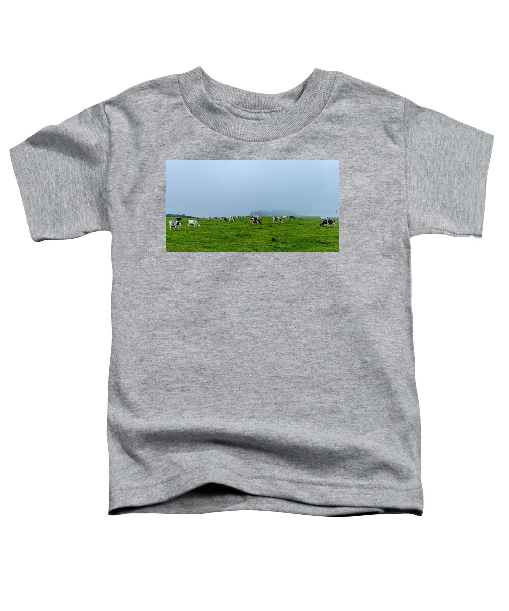 Cows In The Field Toddler T-Shirt featuring the photograph Cows in the Field by Joseph Amaral