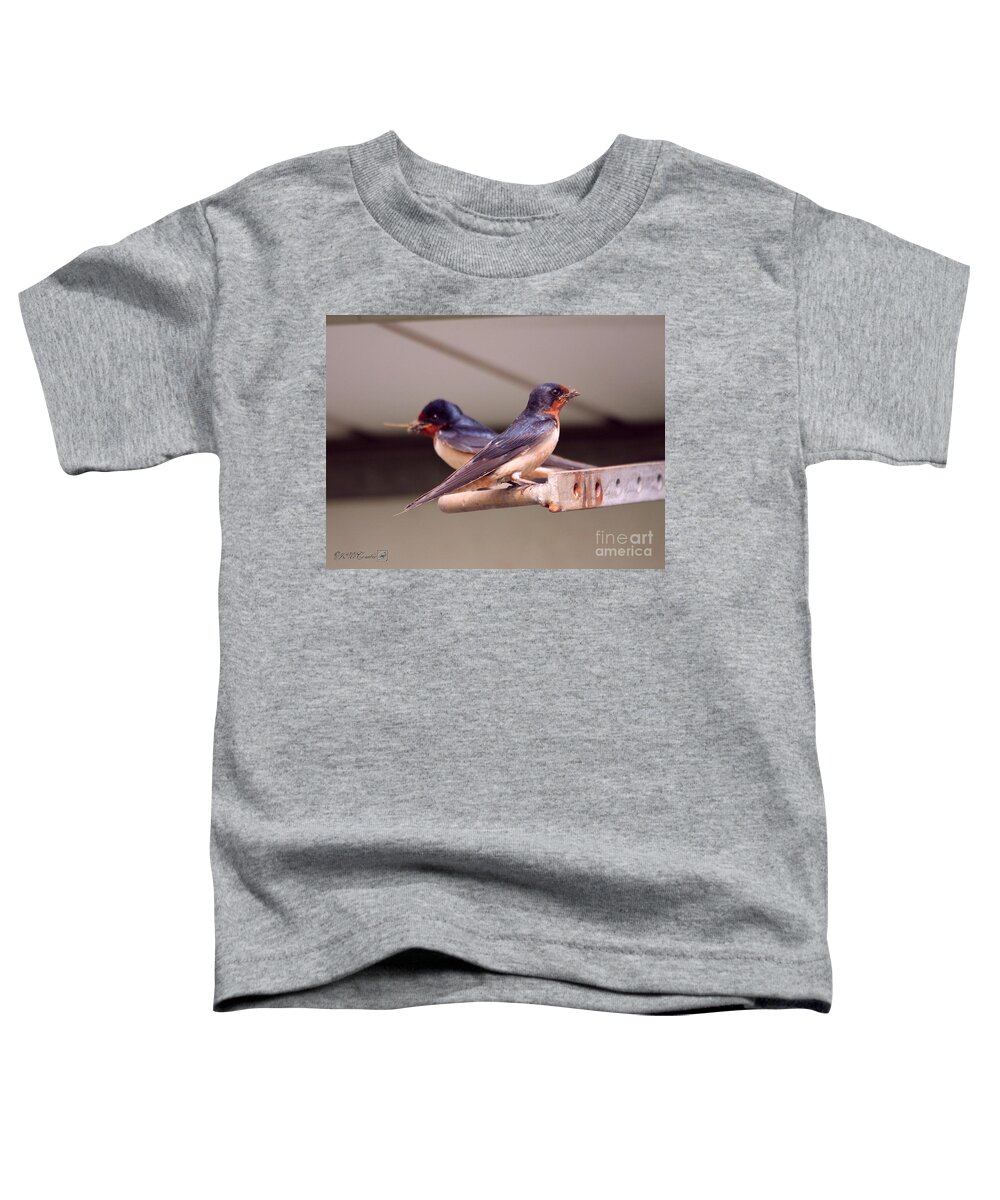 Mccombie Toddler T-Shirt featuring the photograph Barn Swallows Constructing Their Nest #3 by J McCombie