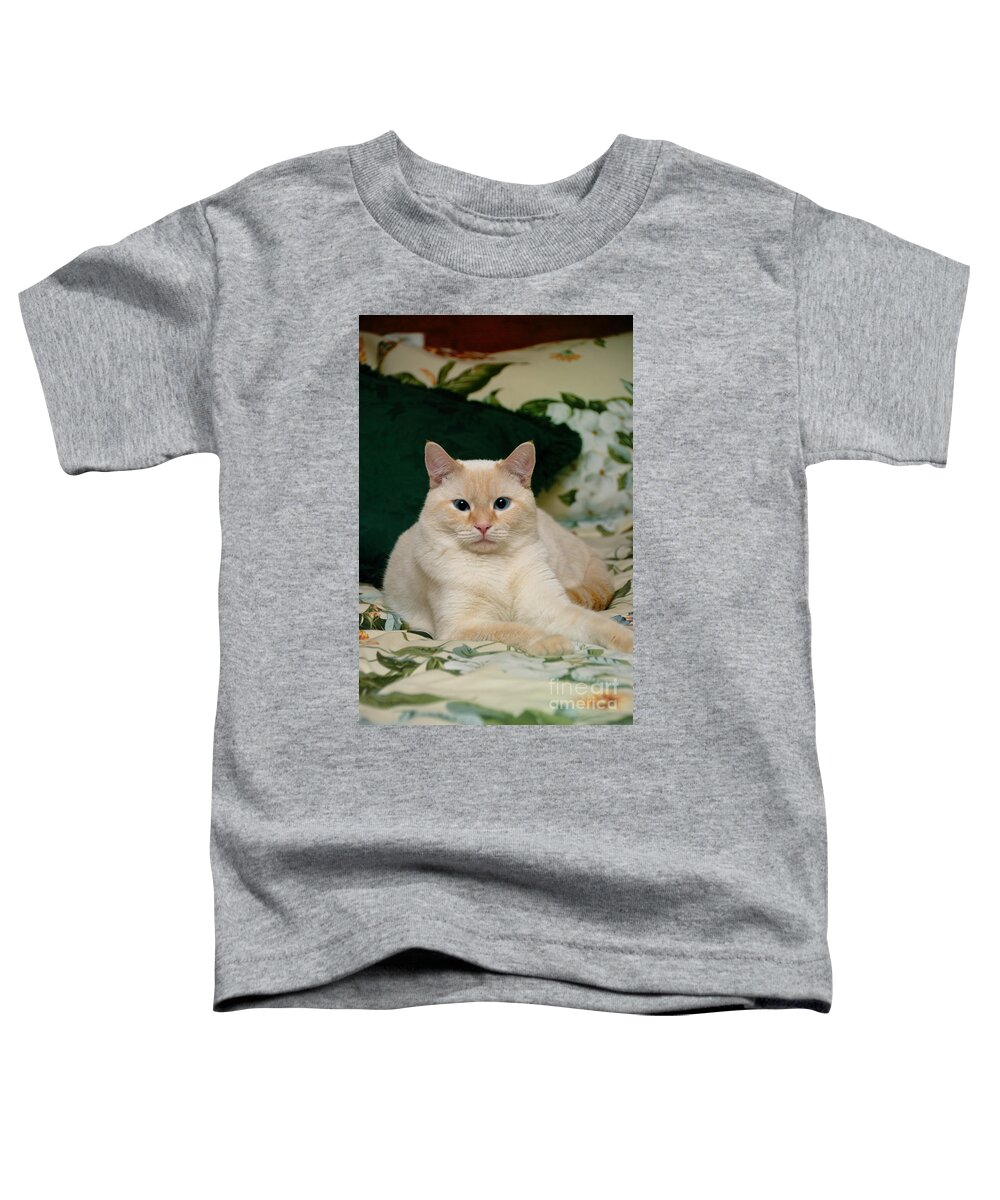 Blue Eyes Toddler T-Shirt featuring the photograph Flame Point Siamese Cat #4 by Amy Cicconi