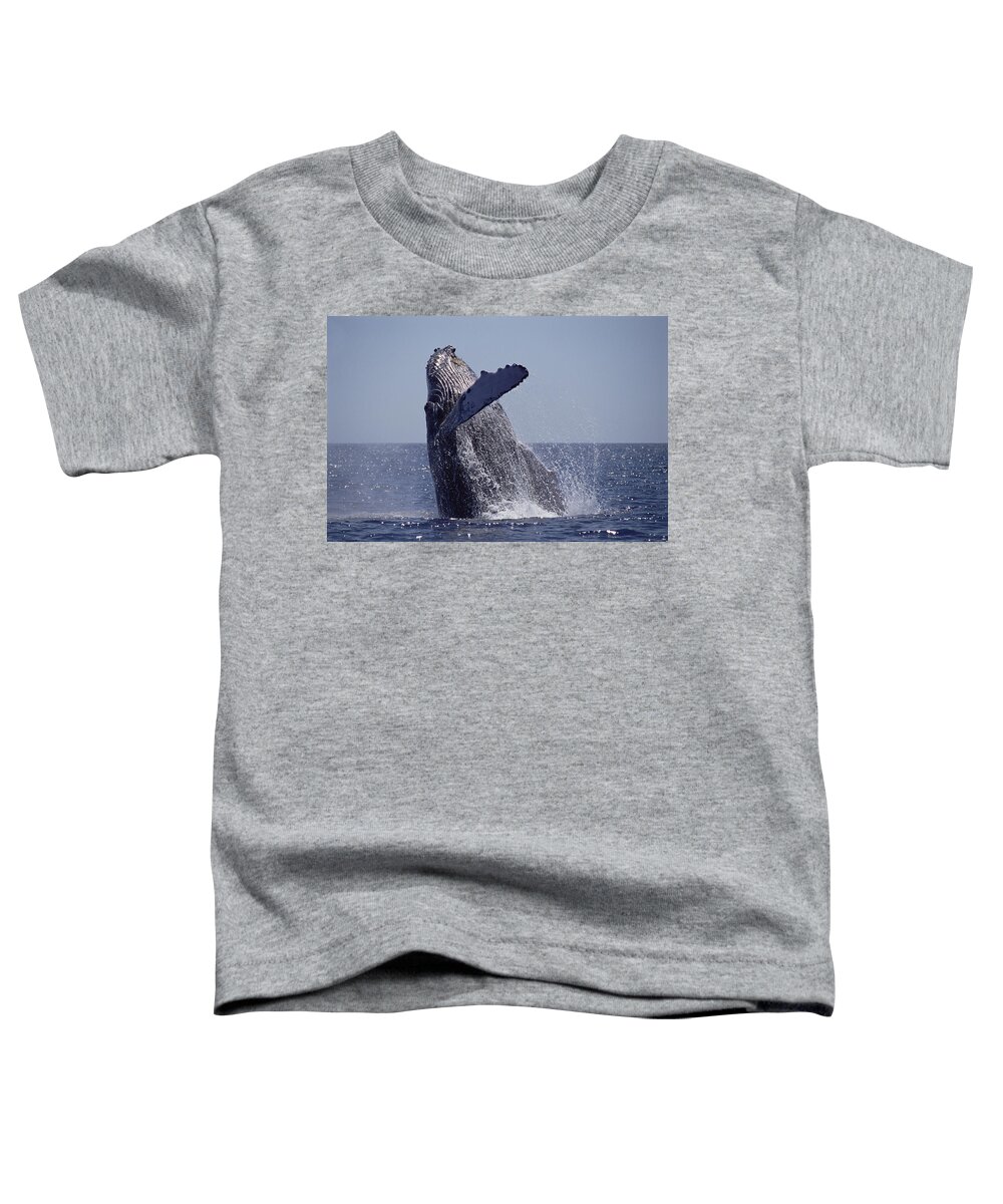 Feb0514 Toddler T-Shirt featuring the photograph Humpback Whale Breaching Maui Hawaii #4 by Flip Nicklin