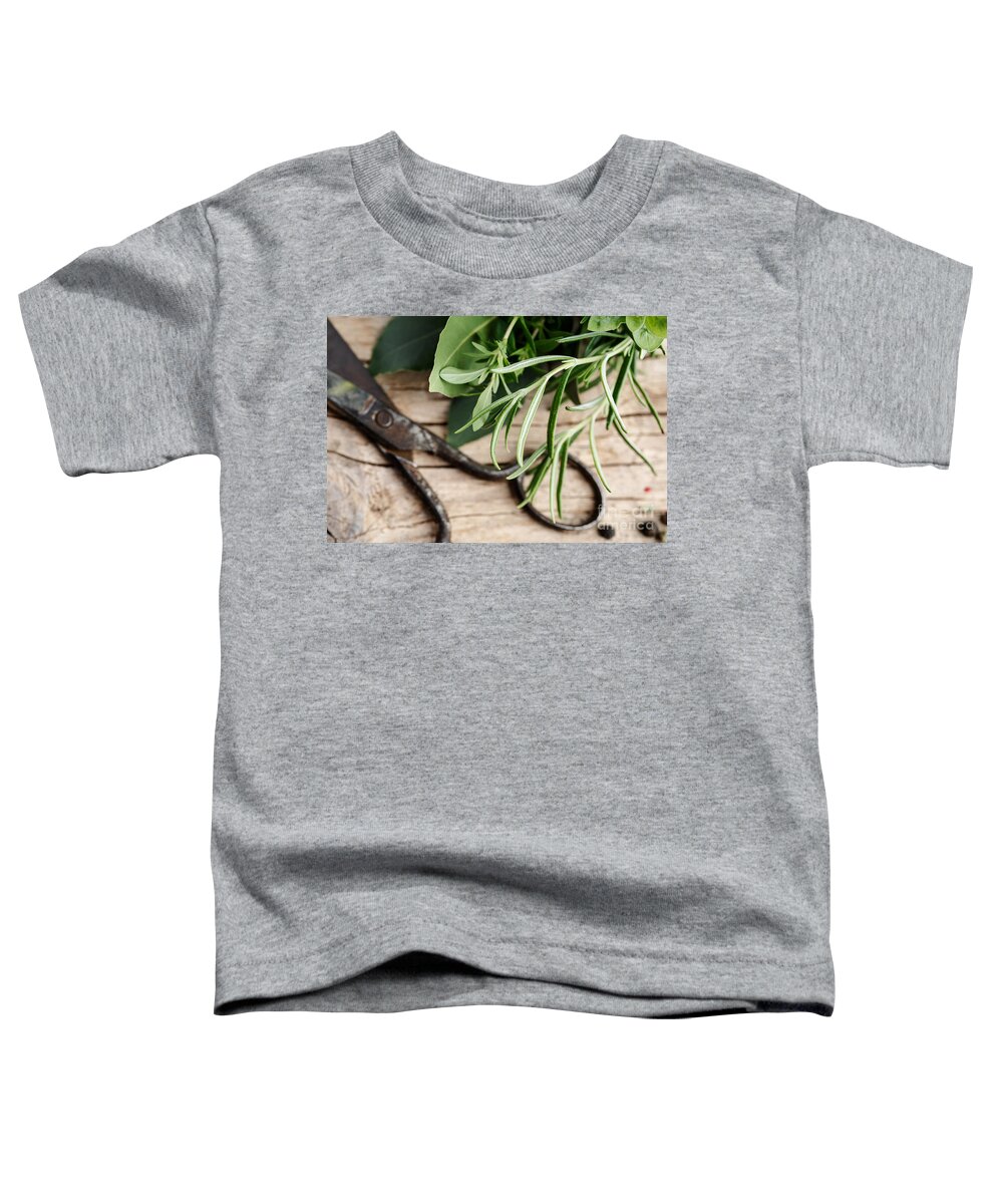 Lorel Toddler T-Shirt featuring the photograph Kitchen Herbs #4 by Nailia Schwarz