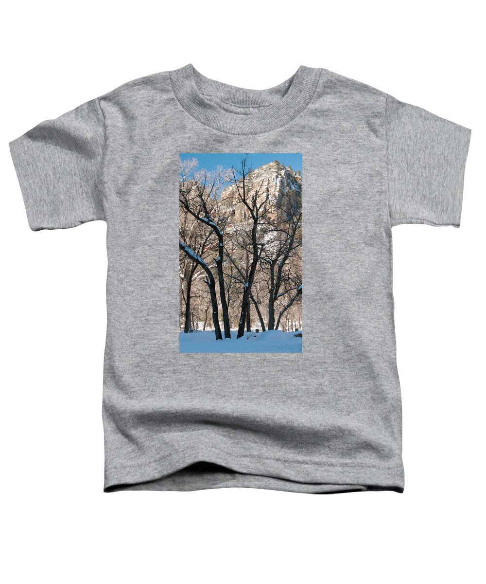 West Fork Toddler T-Shirt featuring the photograph West Fork #5 by Tam Ryan