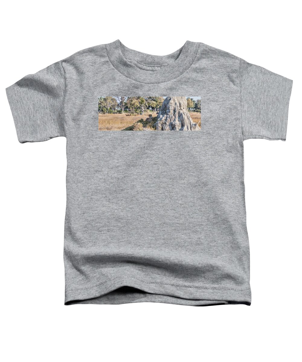 Photography Toddler T-Shirt featuring the photograph Cheetah Acinonyx Jubatus Resting #6 by Panoramic Images