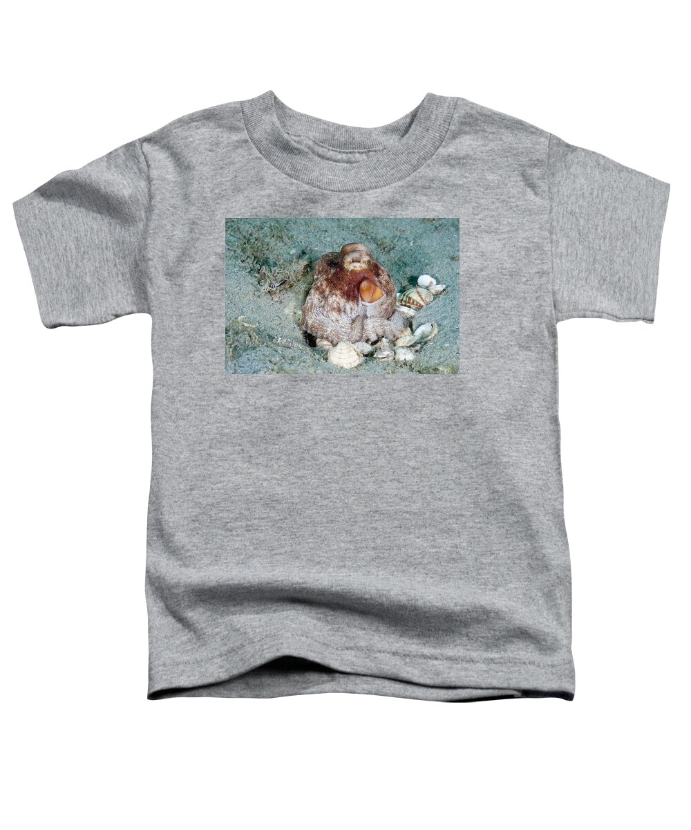 Common Octopus Toddler T-Shirt featuring the photograph Common Octopus #6 by Andrew J. Martinez