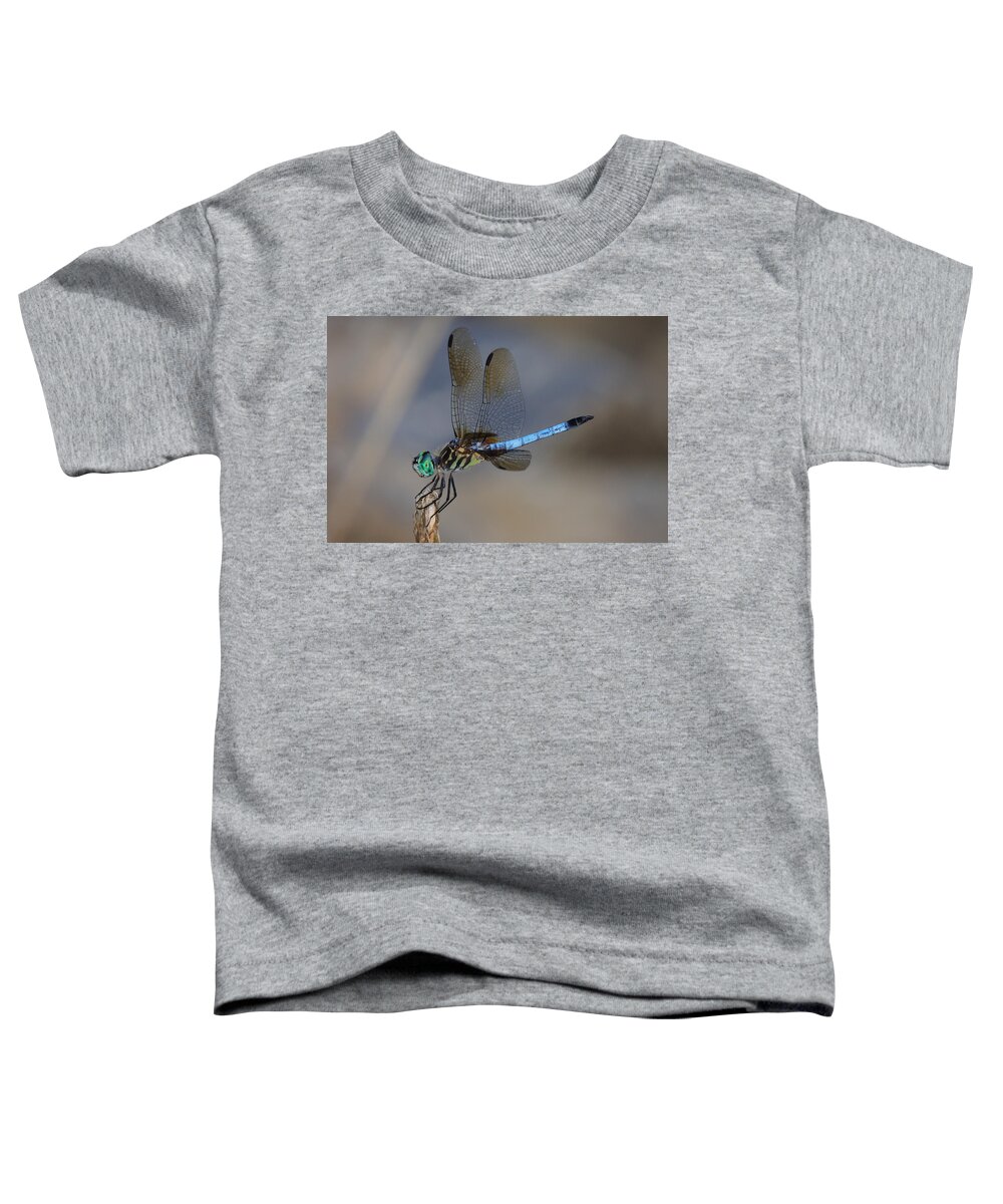 Dragonfly Toddler T-Shirt featuring the photograph A Dragonfly IV by Raymond Salani III