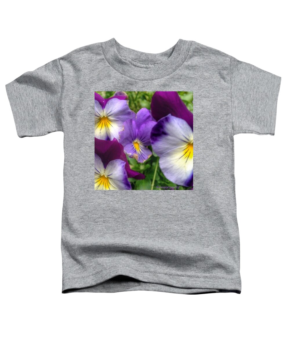 Purples_up Toddler T-Shirt featuring the photograph A Family Affair - Purple Pansies Taken by Anna Porter