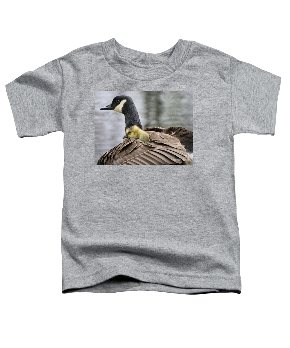 Canadian Goose Toddler T-Shirt featuring the photograph A Mother's Love by Heather King