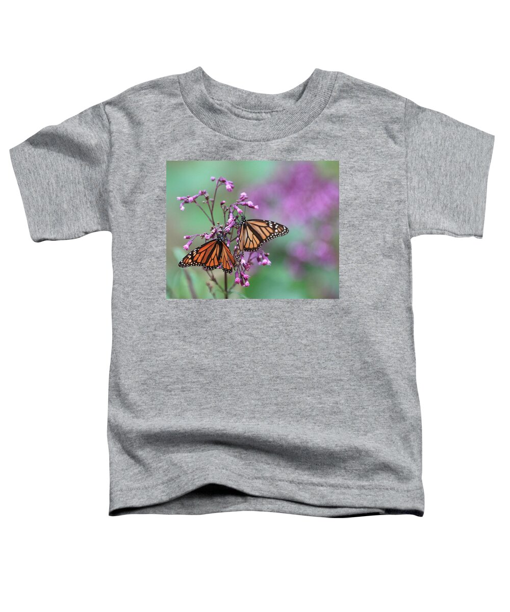 Butterflies Toddler T-Shirt featuring the photograph A pair of monarch butterlies by Robert McKinstry