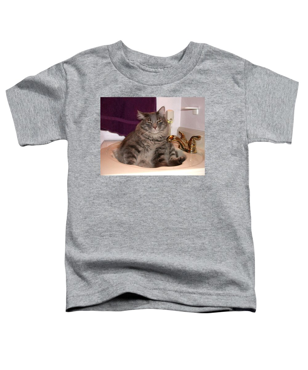 Cat Toddler T-Shirt featuring the photograph A Place To Relax #1 by Shane Bechler