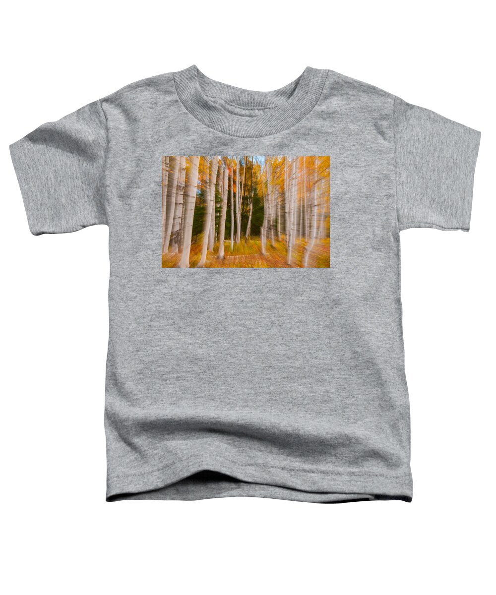 New England Toddler T-Shirt featuring the photograph Abstract Autumn Birches by Brenda Jacobs