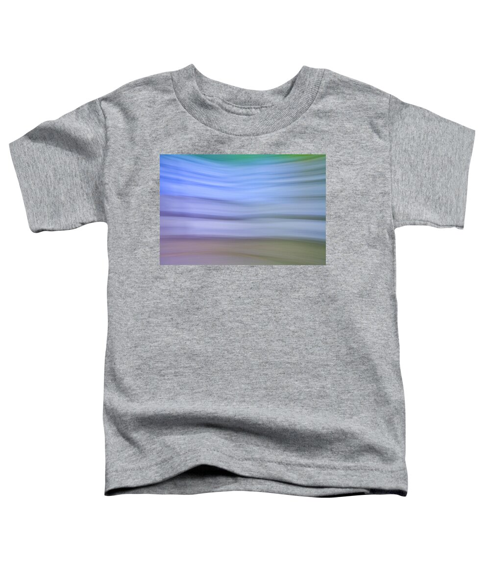 Feb0514 Toddler T-Shirt featuring the photograph Abstract Summer Flowers Germany by Duncan Usher